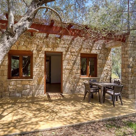 Stonehouse In Olives Leilighet Ulcinj Eksteriør bilde