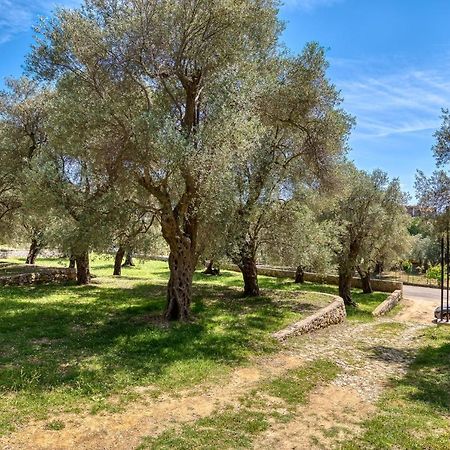 Stonehouse In Olives Leilighet Ulcinj Eksteriør bilde