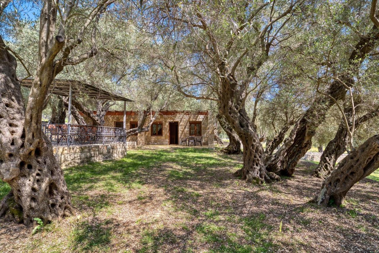 Stonehouse In Olives Leilighet Ulcinj Eksteriør bilde