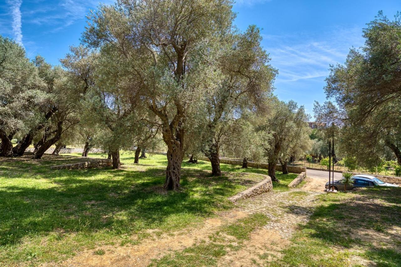 Stonehouse In Olives Leilighet Ulcinj Eksteriør bilde