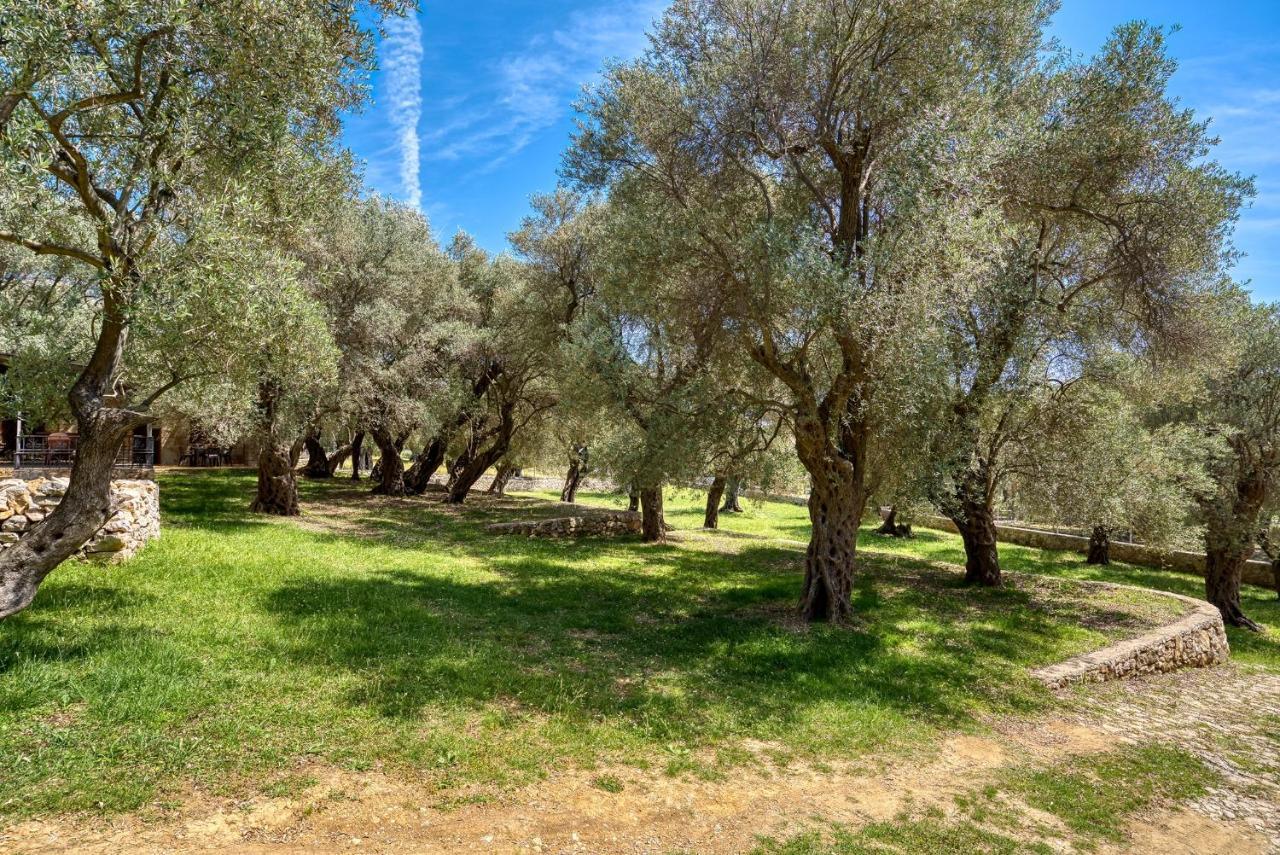 Stonehouse In Olives Leilighet Ulcinj Eksteriør bilde